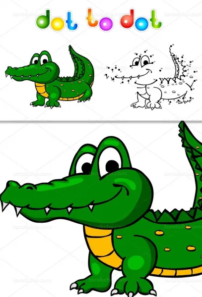  عکس تمساح گوگولی