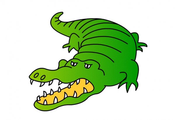 عکس تمساح فانتزی