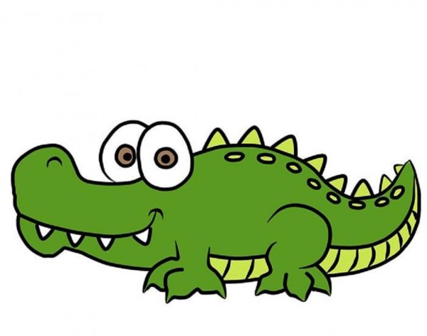 عکس تمساح واقعی