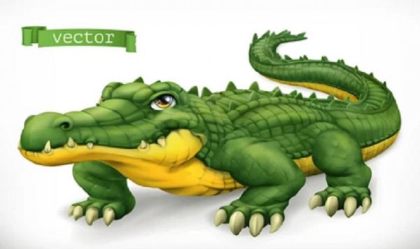 عکس تمساح واقعی