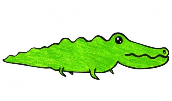  عکس تمساح فانتزی