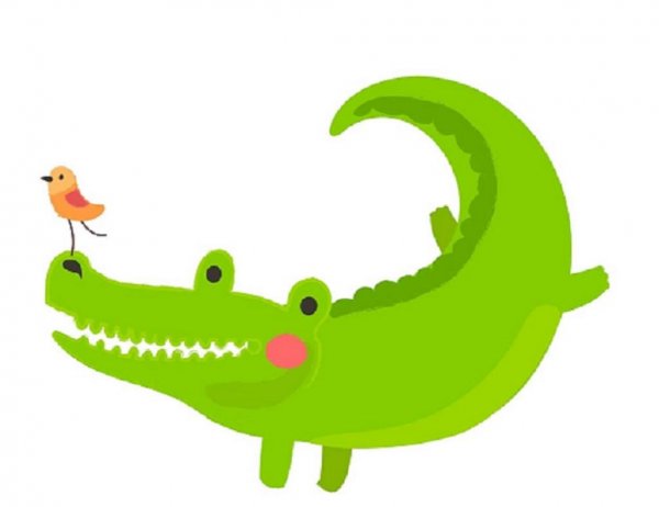 عکس تمساح واقعی