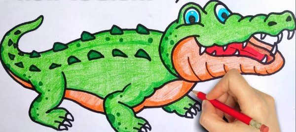 عکس تمساح واقعی