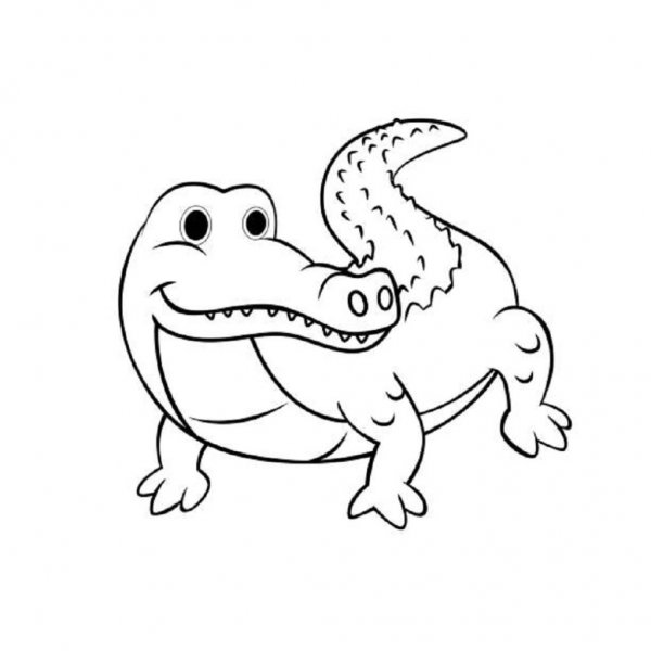  عکس تمساح فانتزی