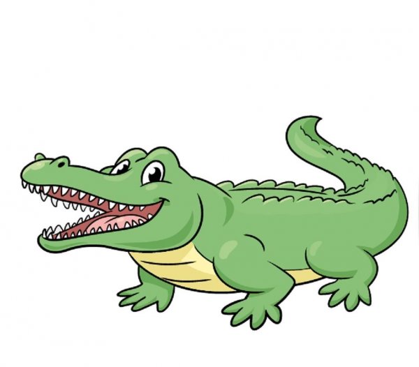  عکس تمساح فانتزی