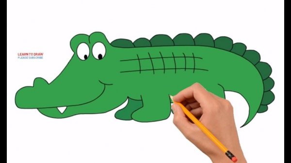 عکس تمساح واقعی