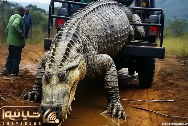  عکس تمساح وحشتناک