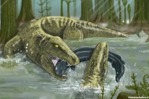  عکس تمساح برای پروفایل