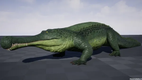  عکس تمساح برای پروفایل