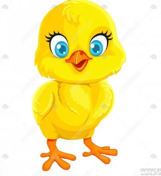  عکس کارتونی جوجه