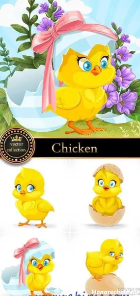  عکس کارتونی جوجه