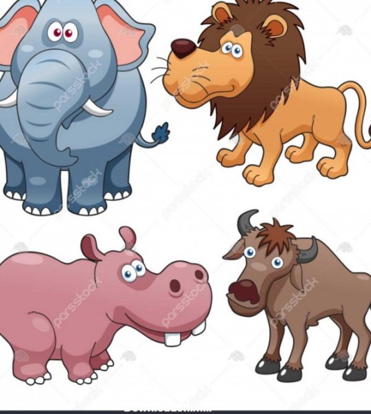 عکس حیوانات کارتونی بامزه