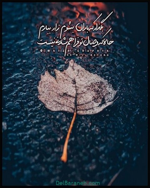  عکس پروفایل امام زمان روز جمعه