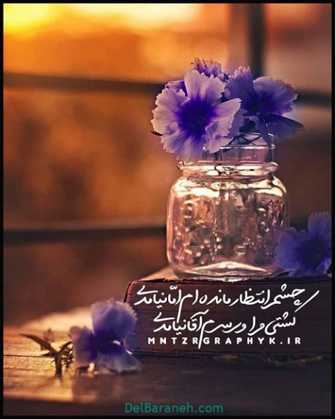  عکس پروفایل امام زمان روز جمعه