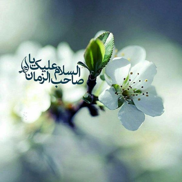 پروفایل امام زمان جدید