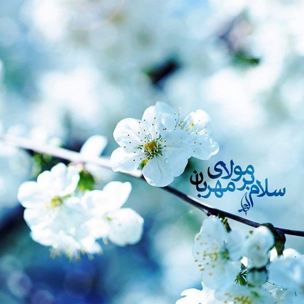  پروفایل امام زمان جدید