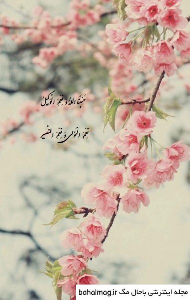  عکس حسبی الله برای صفحه گوشی