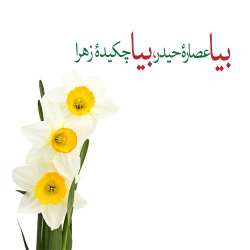  پروفایل ظهور امام زمان