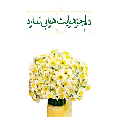  پروفایل ظهور امام زمان