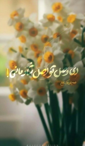  پروفایل امام زمانی زیبا