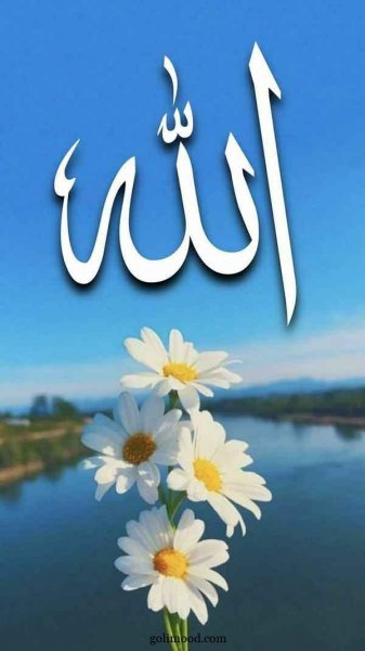  تصویر زمینه الله جدید