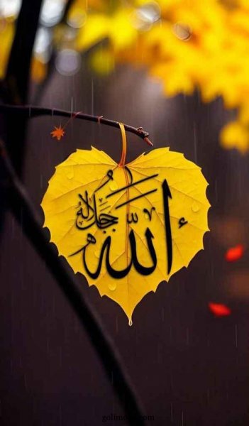  تصویر زمینه الله جدید