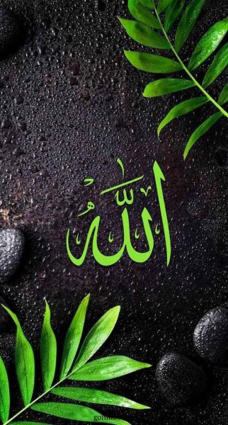  تصویر زمینه الله جدید