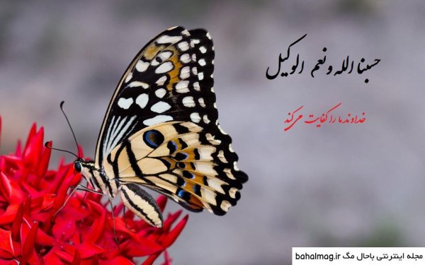 عکس پروفایل حسبی الله شیک