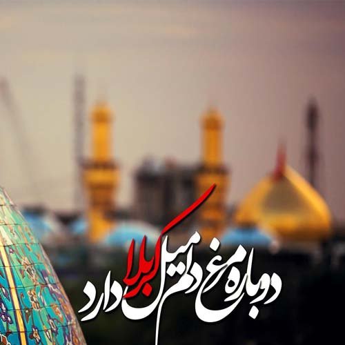  عکس های پروفایل اسلامی