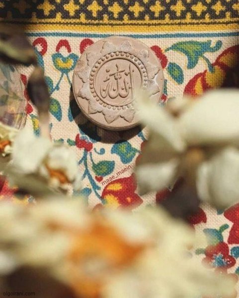  عکس سجاده زیبا