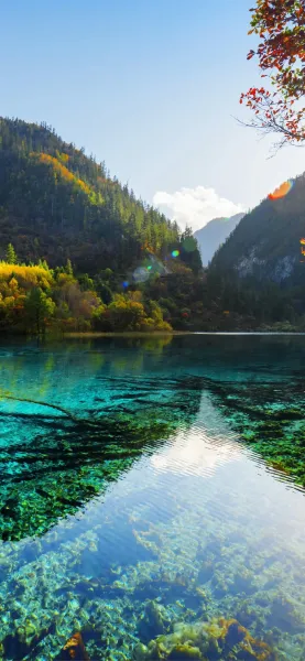  تصویر زمینه ایفون ۱۵