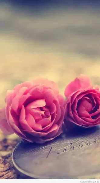  بک گراند سه بعدی