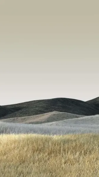  بک گراند سه بعدی