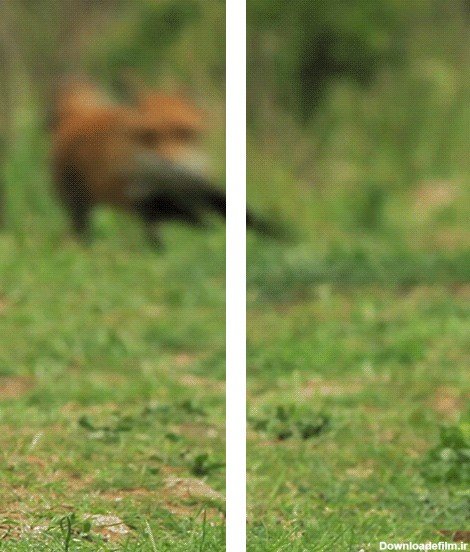  تصاویر سه بعدی متحرک