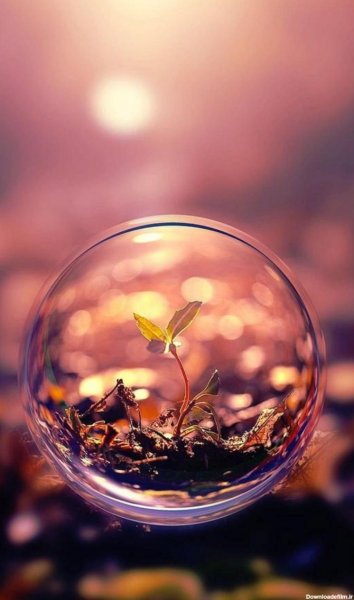  تصویر زمینه زنده شیک