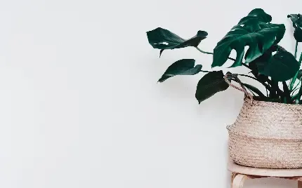  تصویر زمینه 6 بعدی برای کامپیوتر