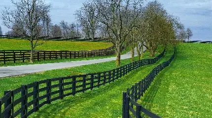  تصویر زمینه 6 بعدی برای کامپیوتر