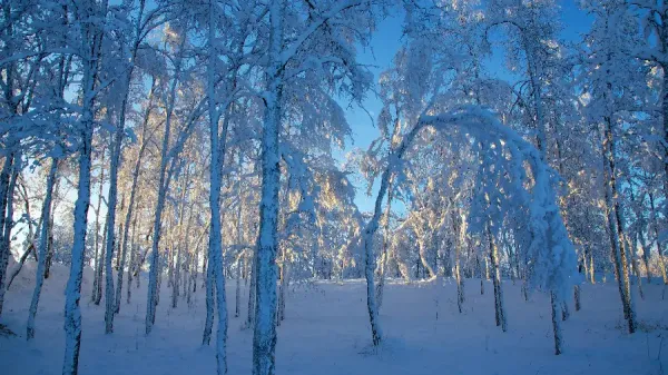  دانلود تصویر زمینه برای کامپیوتر 4k