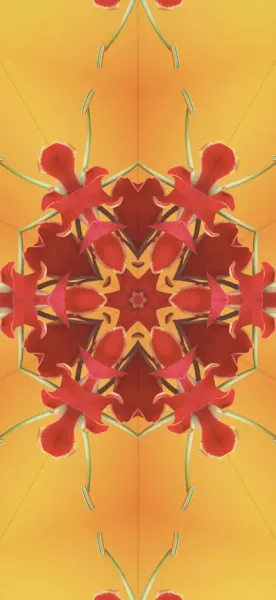 عکس پشت آیفون ۱۷ برای تصویر زمینه