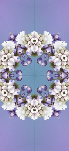  عکس پشت آیفون ۱۷ برای تصویر زمینه