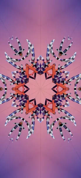  عکس پشت آیفون ۱۷ برای تصویر زمینه