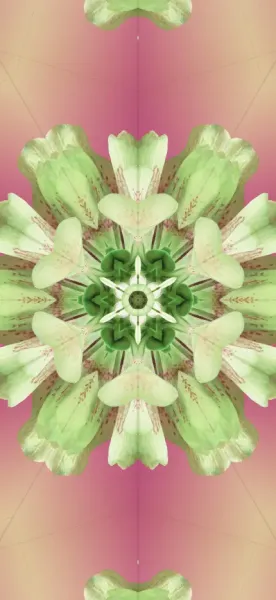  عکس پشت آیفون ۱۷ برای تصویر زمینه