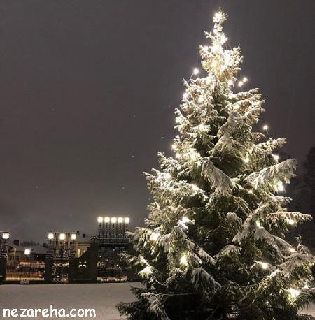  عکس درخت کریسمس برای پروفایل