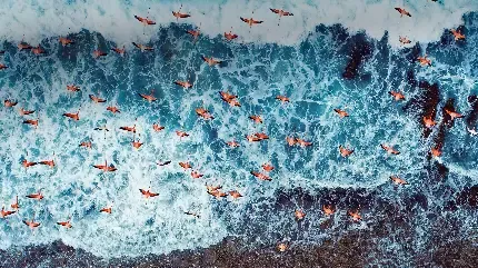  بک گراند برای ویندوز