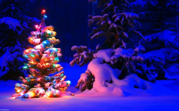  بک گراند کریسمس کیوت