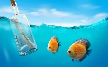  بک گراند کریسمسی