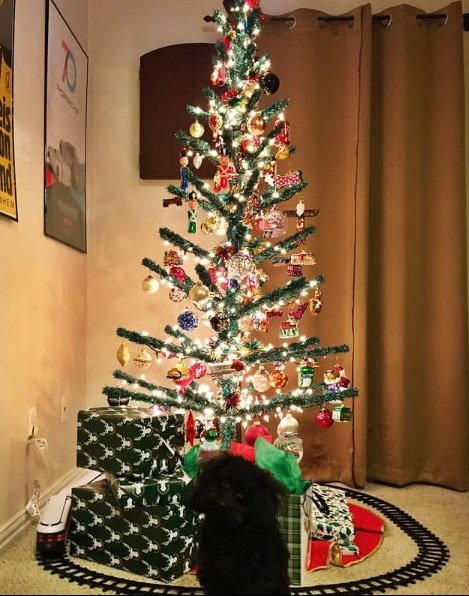  ایده کریسمس