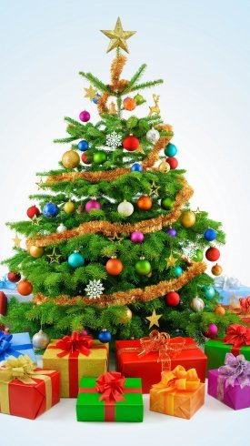 دانلود عکس درخت کریسمس