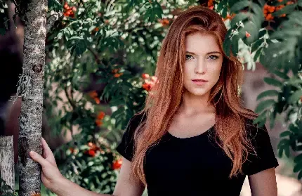  کریسمس والپیپر