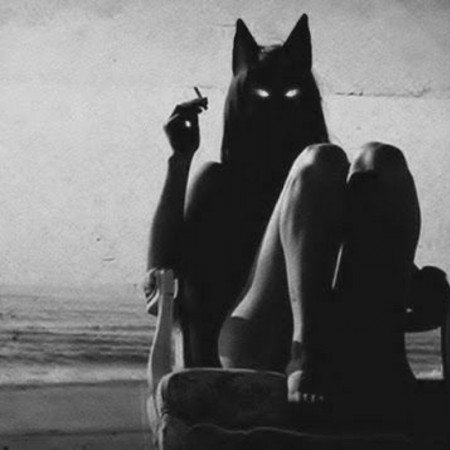  عکس پروفایل دختر و گربه